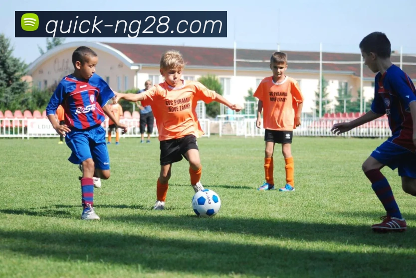 App Interface Preview